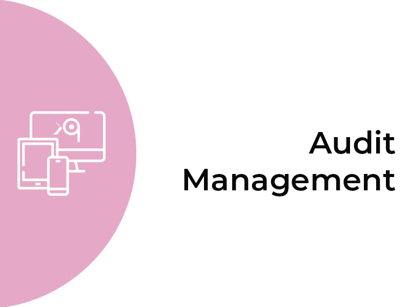 audit-management
