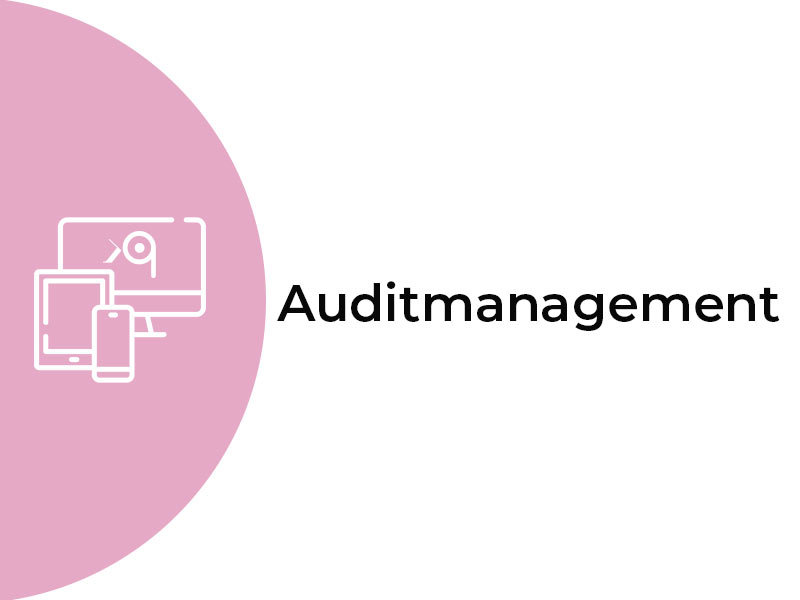 audit-management